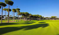 carya golf club